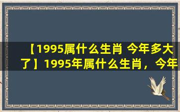 【1995属什么生肖 今年多大了】1995年属什么生肖，今年多大？